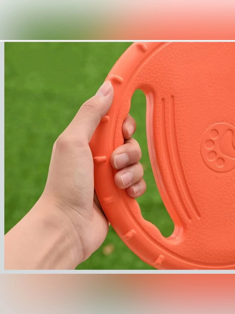 Dog Soft Flying disc. Great for training
